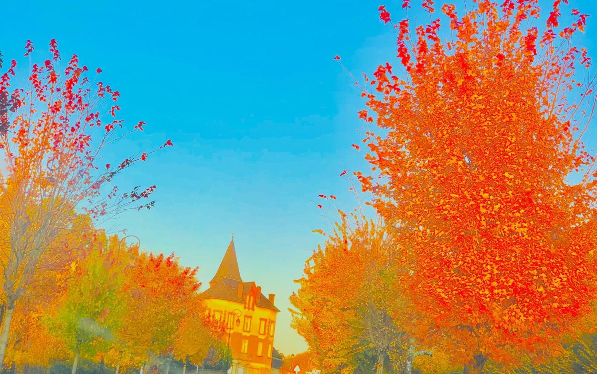 Le Chambon, Chambres D'Hotes Saint-Merd-de-Lapleau Dış mekan fotoğraf