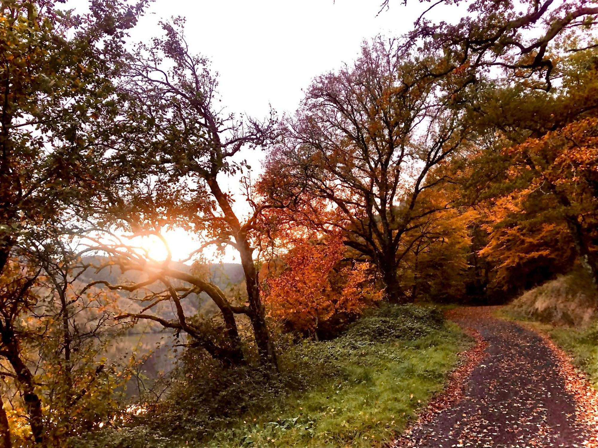 Le Chambon, Chambres D'Hotes Saint-Merd-de-Lapleau Dış mekan fotoğraf
